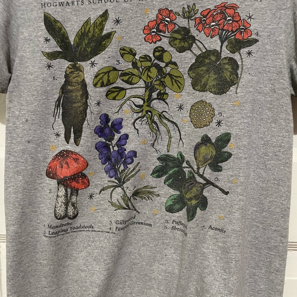 Harry Potter Gray Herbology Short Sleeve Tee, Size Small - Picture 2 of 3